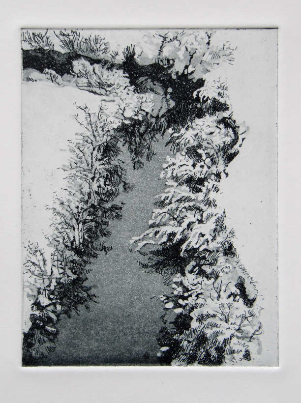 Donau Schnee